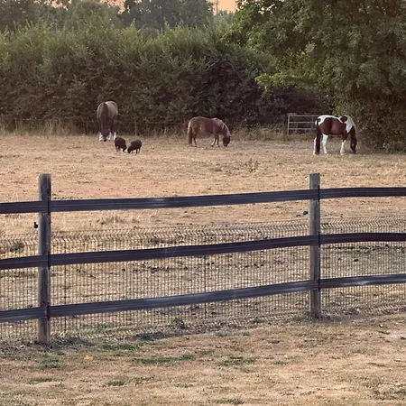 Le Refuge Du Saule بيت ضيافة Saint-Aubin-de-Locquenay